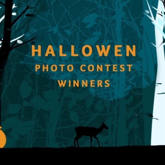 Halloween Photo Contest Results